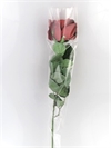  Rosenposer. 5 stk. Ca. 65 cm. Til en enkelt rose..