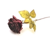 Rose. Rød. Længde ca. 40 cm. Ø på rosen ca. 8 cm.