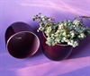 2 stk mørk lilla glas velegnet til små planter samt til fyrfadsglas