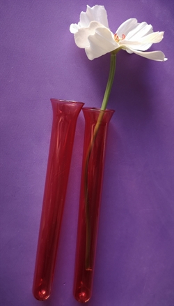  2 stk. Røde reagensglas Ø 2 cm. Længde ca. 19 cm. Med krave og rund bund.