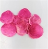  Placuna skaller Pink farvede. Ca. 8 til 10 stk. Ø Ca. 9 til 11 cm. Bordkort. m.m.