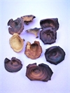 Tørrede dekorations svampe ø ca. 3-9 cm. Ca. 8 stk. Natur.