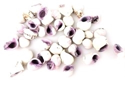 Fine 100 g Sneglehuse. Hvid / violette. Måler ca.1 til 3 cm.