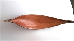 Coco blad. Stabilt. Velegnet i dekorationer m.m. Ca. 20 til 35 cm. Natur