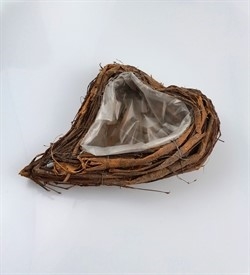 Gren plante hjerte. Natur. L ca. 27 cm H. 7 cm.