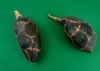 2 stk. Op tørrede frugt fra Baobab træ. Håndmalede.  Længde ca. 10 til 20 cm. Kun til dekoration.