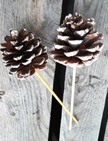 Kogle med "sne" på pind. Selve koglen måler ca.  5 - 6 cm.