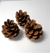 Danske kogler. Pris pr. stk. 2,00 kr. Natur. H. Ca. 3 til 6 cm.