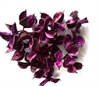 Farvede frøstande. Lilla. Ca 20 g. Ca. 4 - 5 cm.