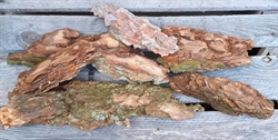 Natur. Bark stykker i forskellige længder. Lag på lag bark.