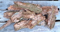 Natur. Bark stykker i forskellige længder. Lag på lag bark.