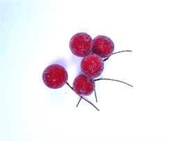 5 stk. røde dekorations frost bær på tråd. Et bær måler ca. Ø 2 cm.