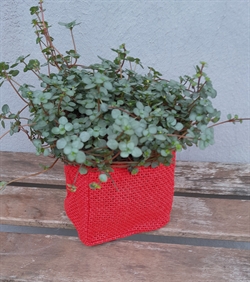 Et stk. Jutepose rød. Ca. 9 x 9 cm. Med plastindlæg. Julerød.