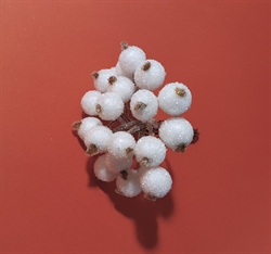 Bundt med dekorations bær. Hvide frost / sukker. Ca. 18 bær på tråd. Bær måler ca. 1 cm.