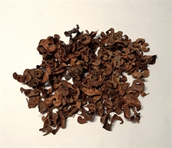 30 g tørrede Indiske skaller Ca. 30 g. Fine i dekorationer. Natur.