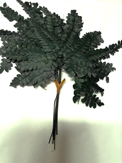 Bundt med ca.  8  stk. præparere blade. Ca. ca. 15 x15 cm.