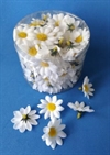 Ca. 100 stk Margurite blomster hoveder. Klip noget af stilken af og brug evt. blomsten til pynt på bordkort m.m.