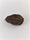 Kakao bælg. Et stk. Ca. fra 10 til 14 cm. Kun til dekoration.