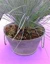 Zink. Planteskål.Ø 13 cm Højde 7 cm. Rustik look.