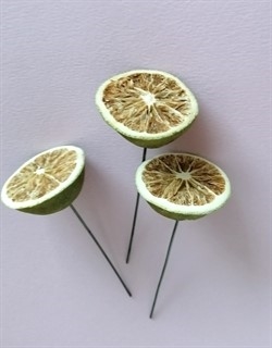 Op tørrede halve lime på tråd. 3 stk. Til pynt i dekorationer. Ø på en halv lime er ca. 4 cm.