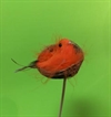 Lille Orange fugl i rede. Reden er på pind. Ø rede ca. 5 cm.
