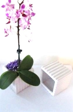 2 stk. skjulere til de mindre blomster. Ca. 7,5 x 7,5 cm.