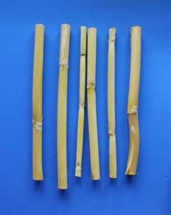 6 stk . Lindegrøn bambus pinde . Længde ca. 20 cm.